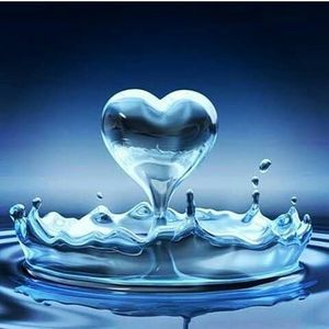 Meet your Posher, Gloria